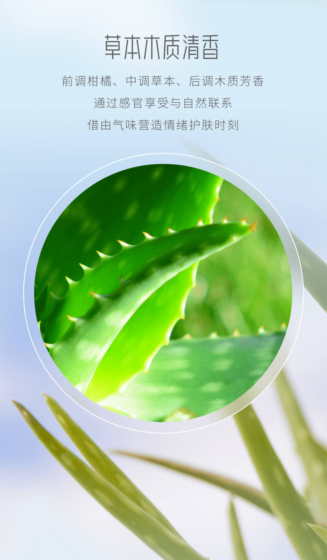 茱莉蔻 | 限量版花卉水上市