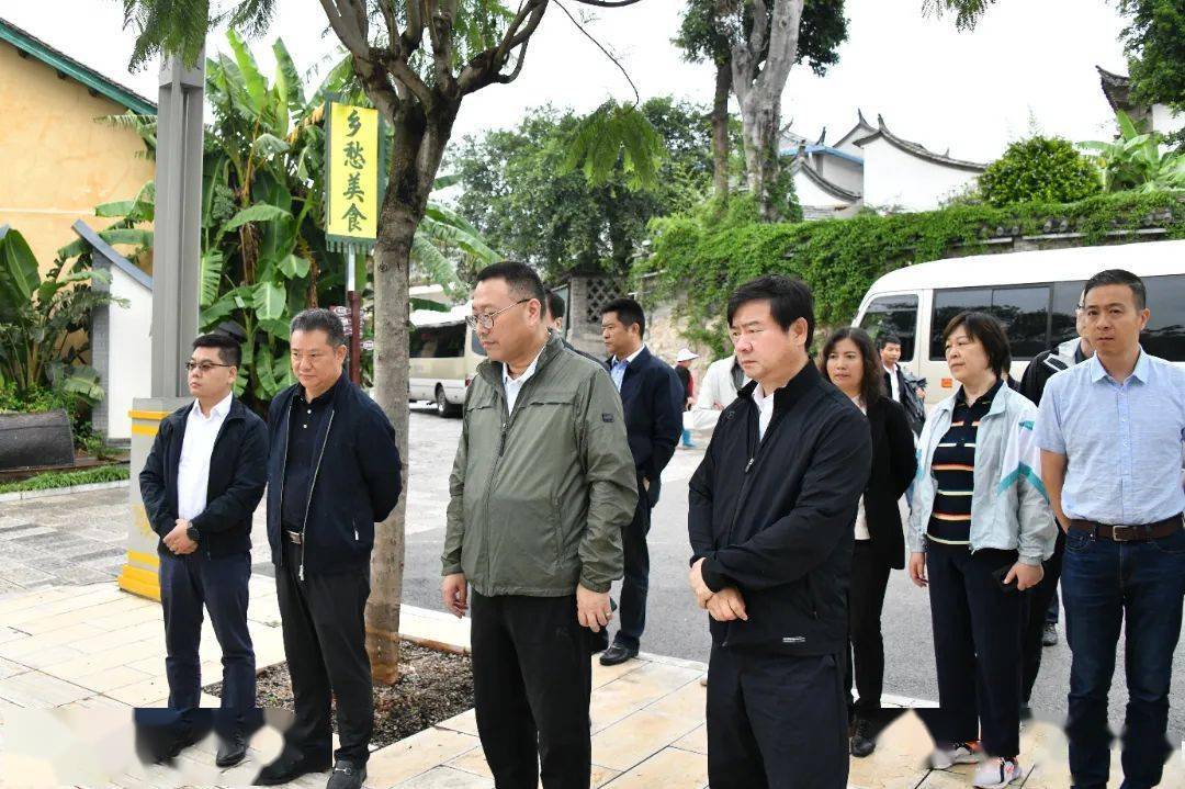 上海市徐汇区党政代表团到石屏县调研东西部协作工作_乡村_帮扶_项目