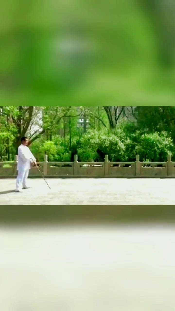 山西武术家张希贵先生弟子演练的迎手鞭杆武术人 武术 鞭杆 中华武术