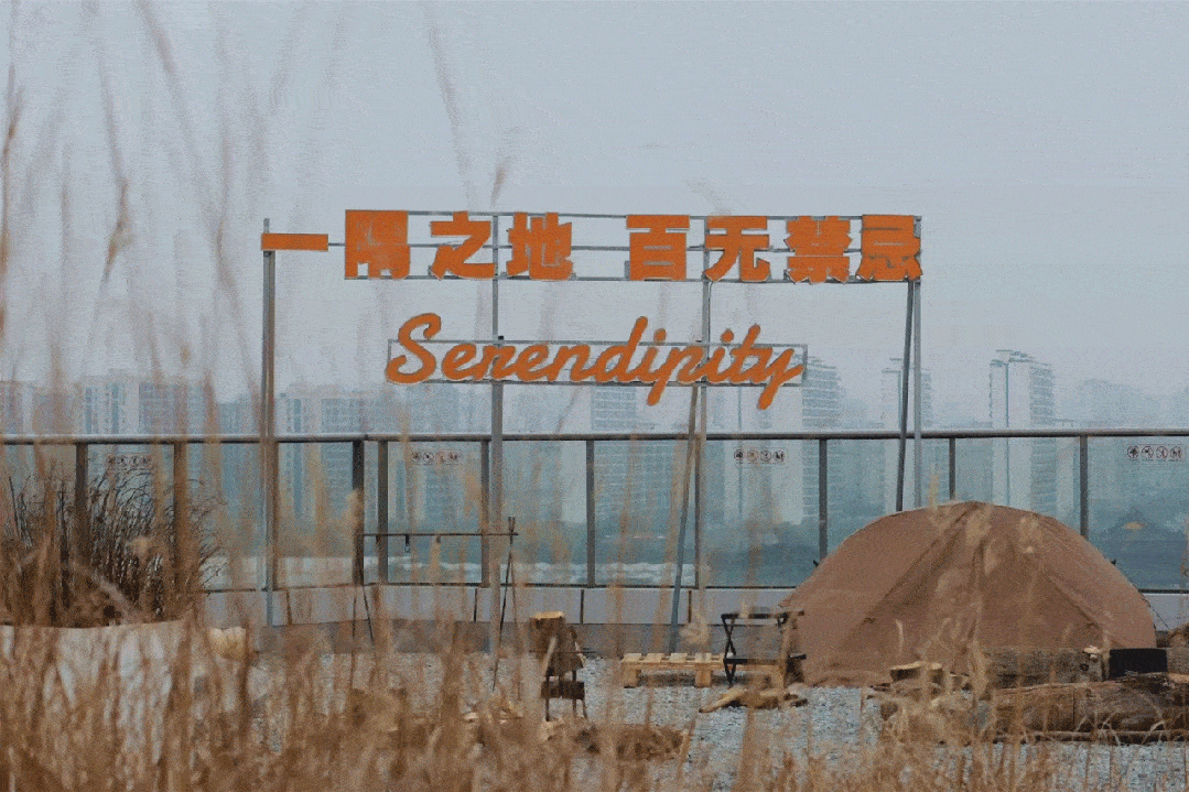 5人一组开始比赛(根据参赛人数灵活调整),由参赛者选择比大小,吹牛