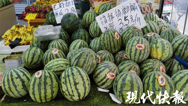 颜料盘被打翻啦！夏日“多巴胺风”水果图鉴