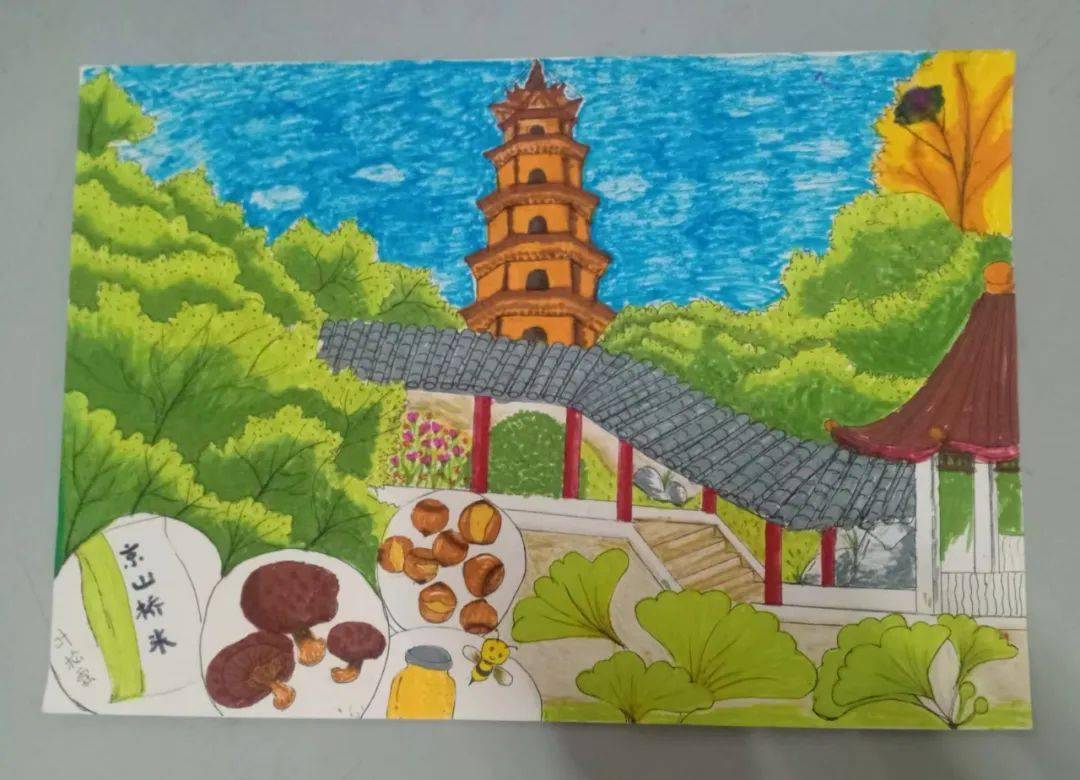 小学生家乡美图画图片