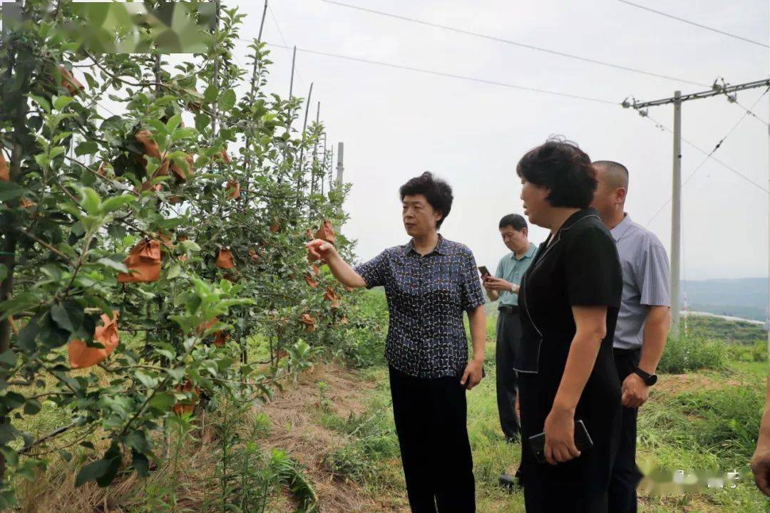 洛阳市王淑霞图片