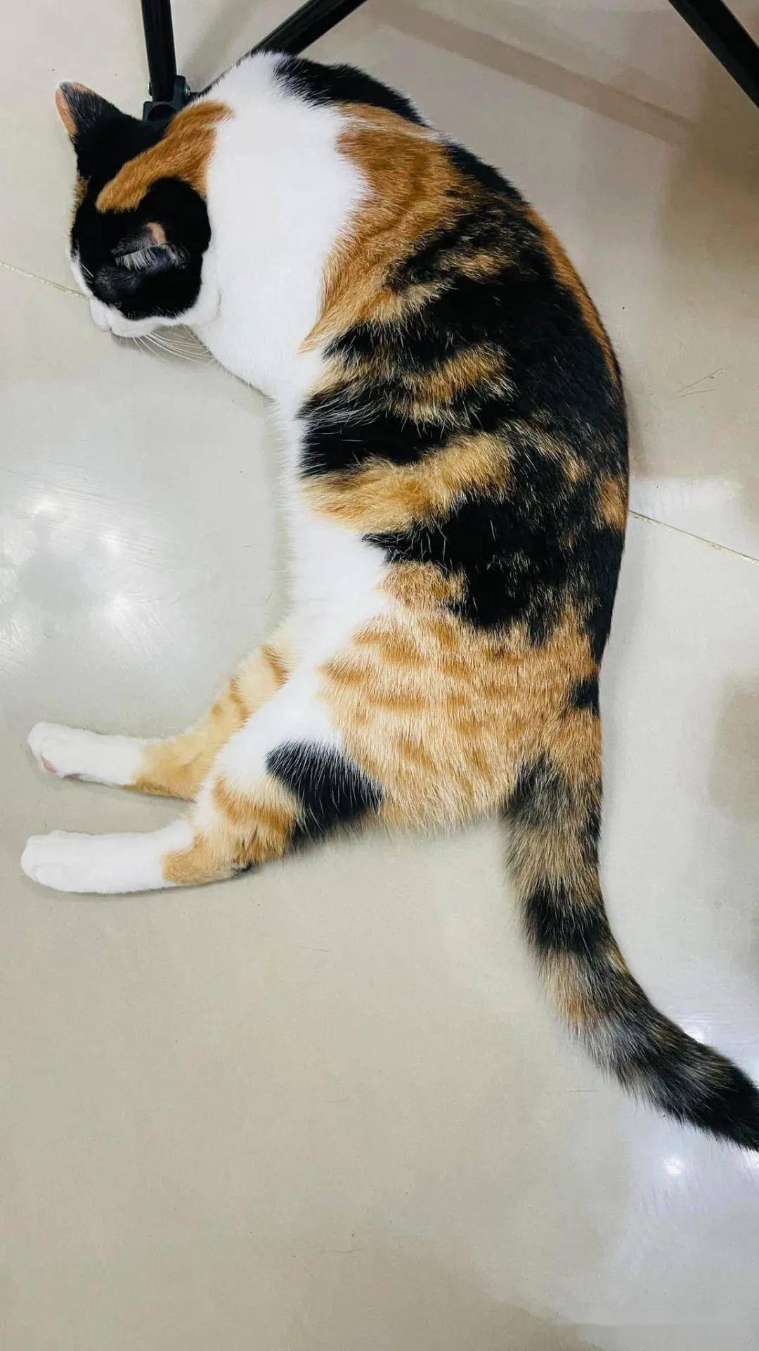 网友_曾慧铃_性格