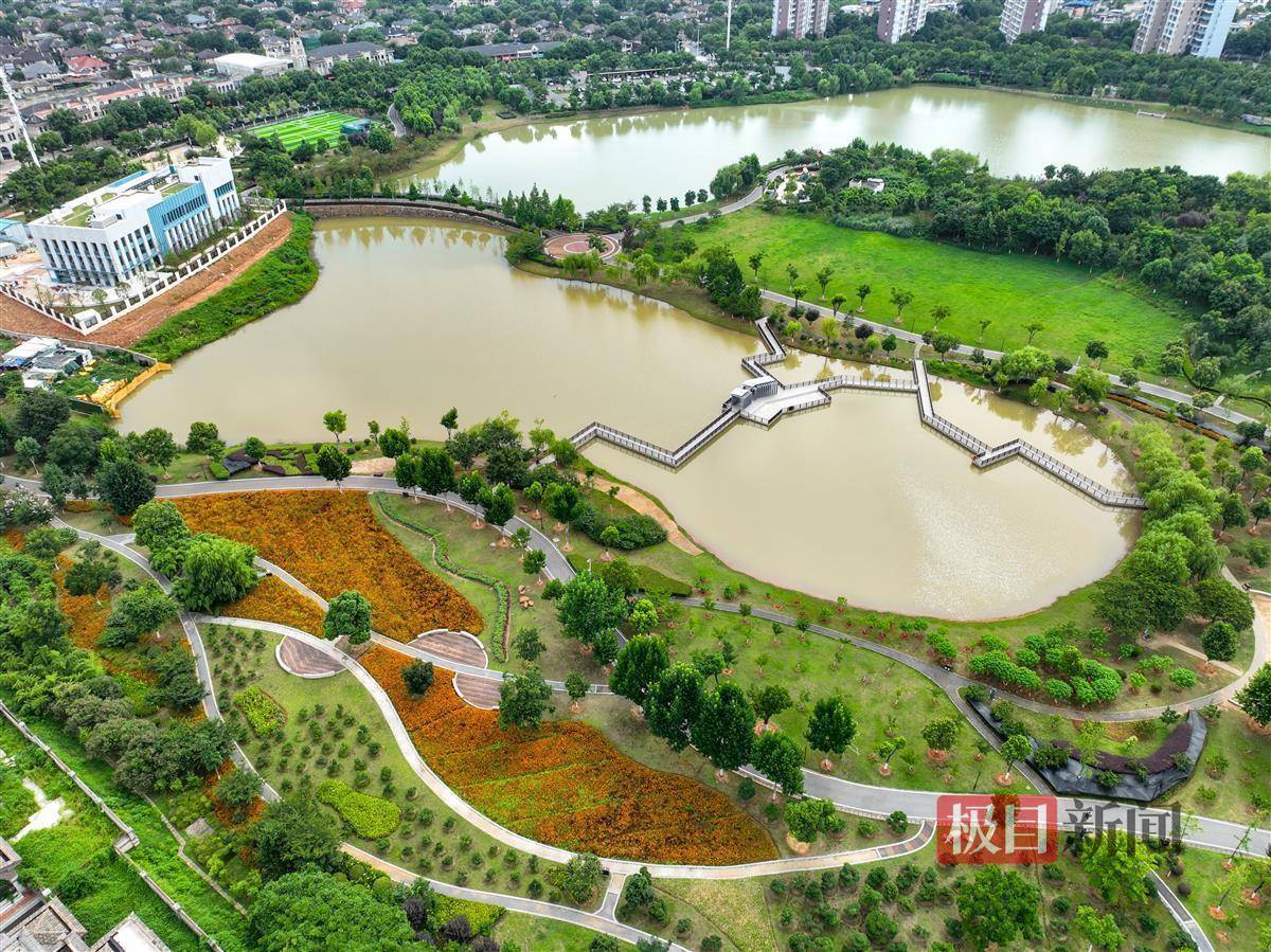 韵湖公园硫华菊盛放_武汉市_面积_汤逊湖北路