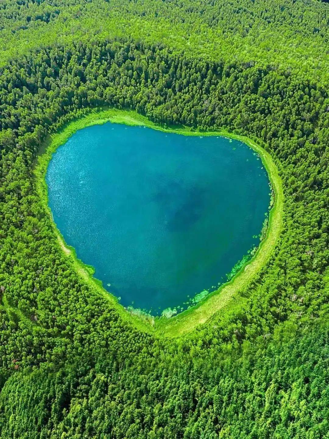 阿爾山在傷疤上托起湖水化作天池這是它還給命運的一汪湛藍阿巴嘎火山