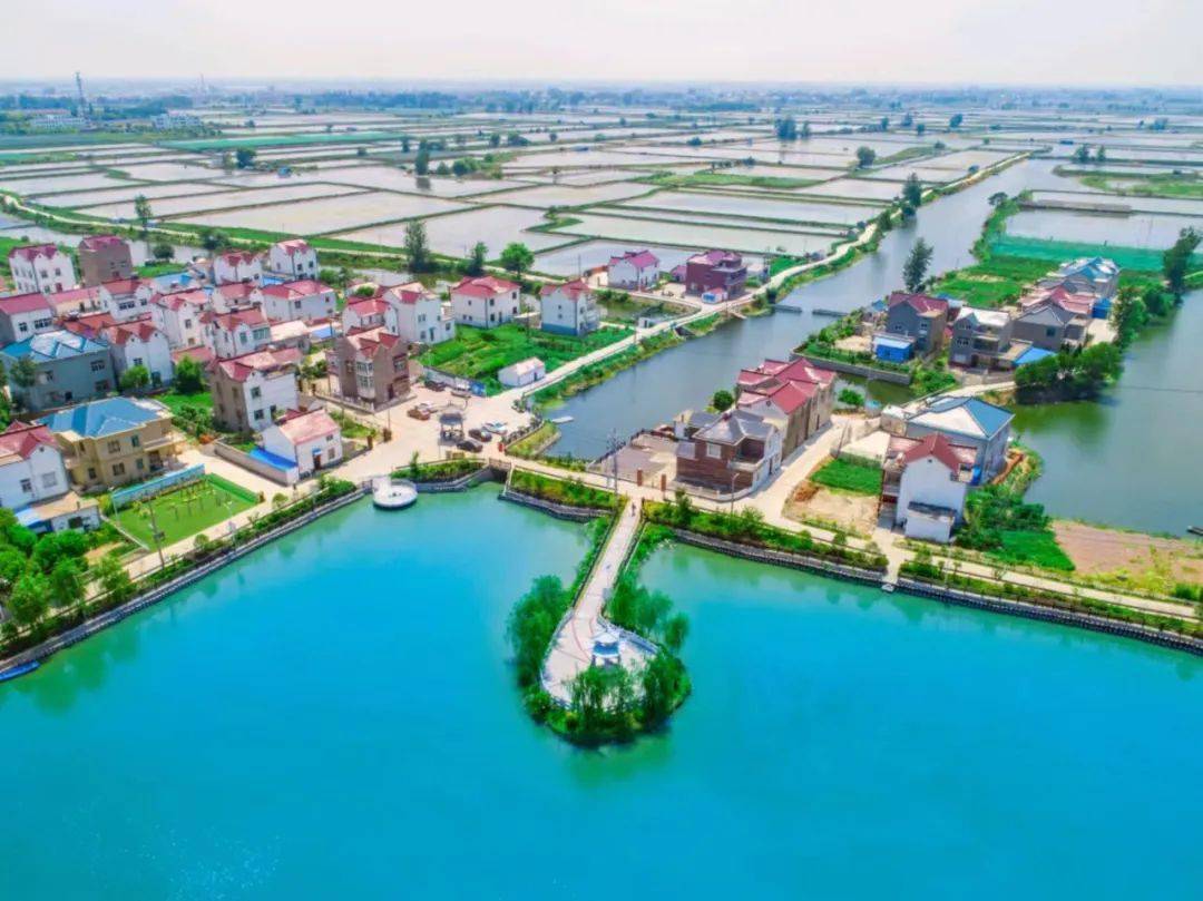 【文明村镇创建巡礼】当涂县大陇镇:文化惠民以文兴业_群众_服务_活动