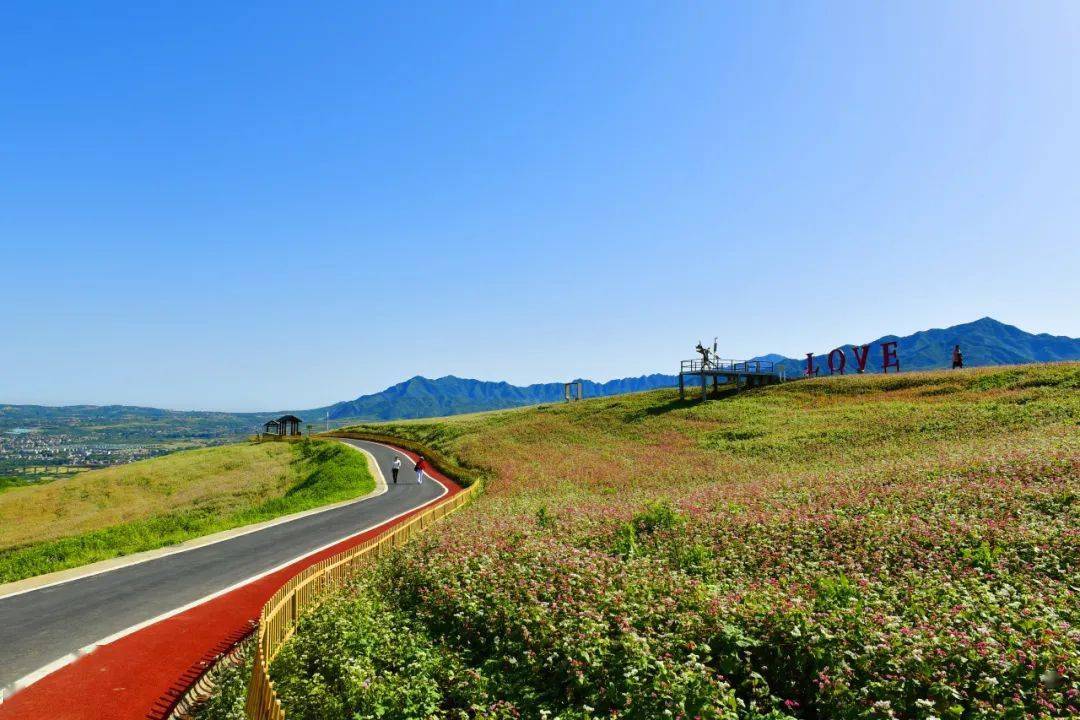 推进会观摩活动走进蓝田荞麦岭·乡村旅游示范村_峪口村_种植_田园