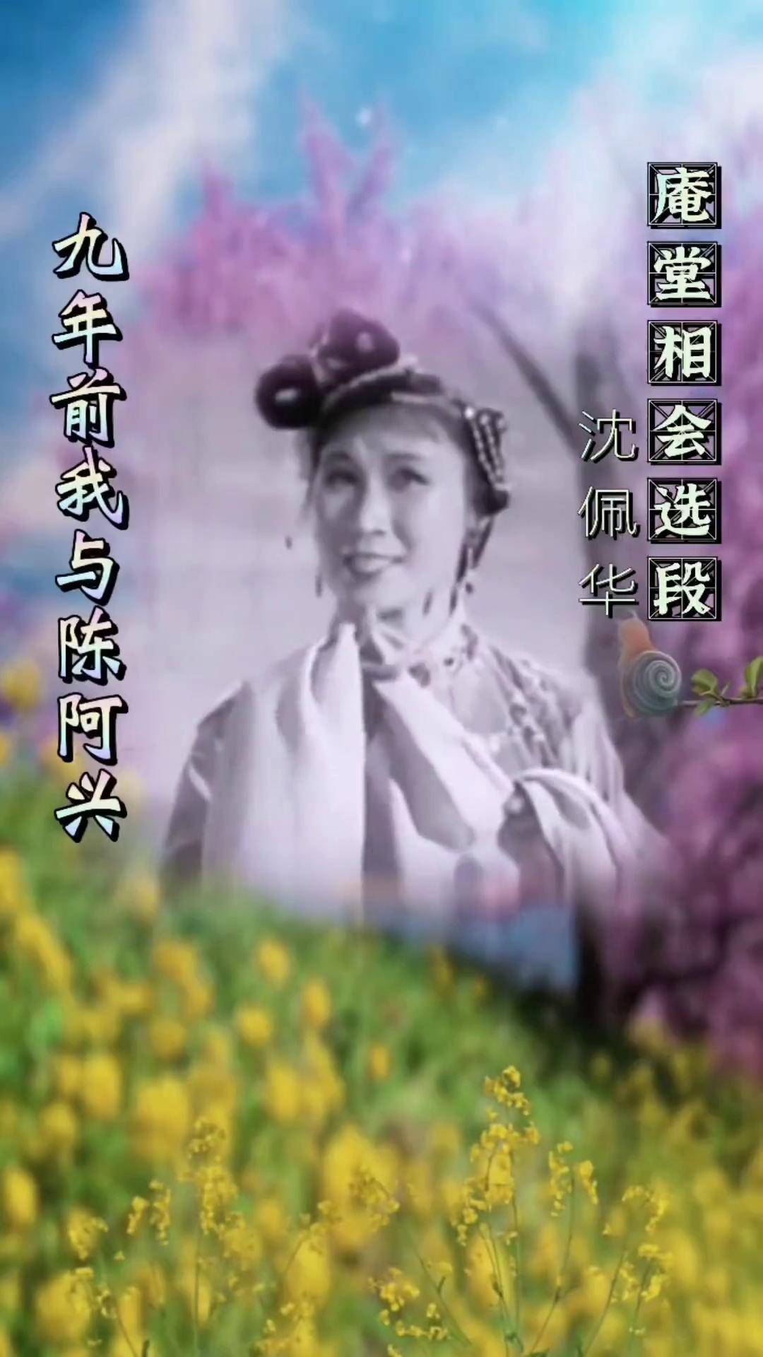 锡剧《庵堂相会》选段,沈佩华演唱,"九年前我与陈阿兴",这一段唱腔