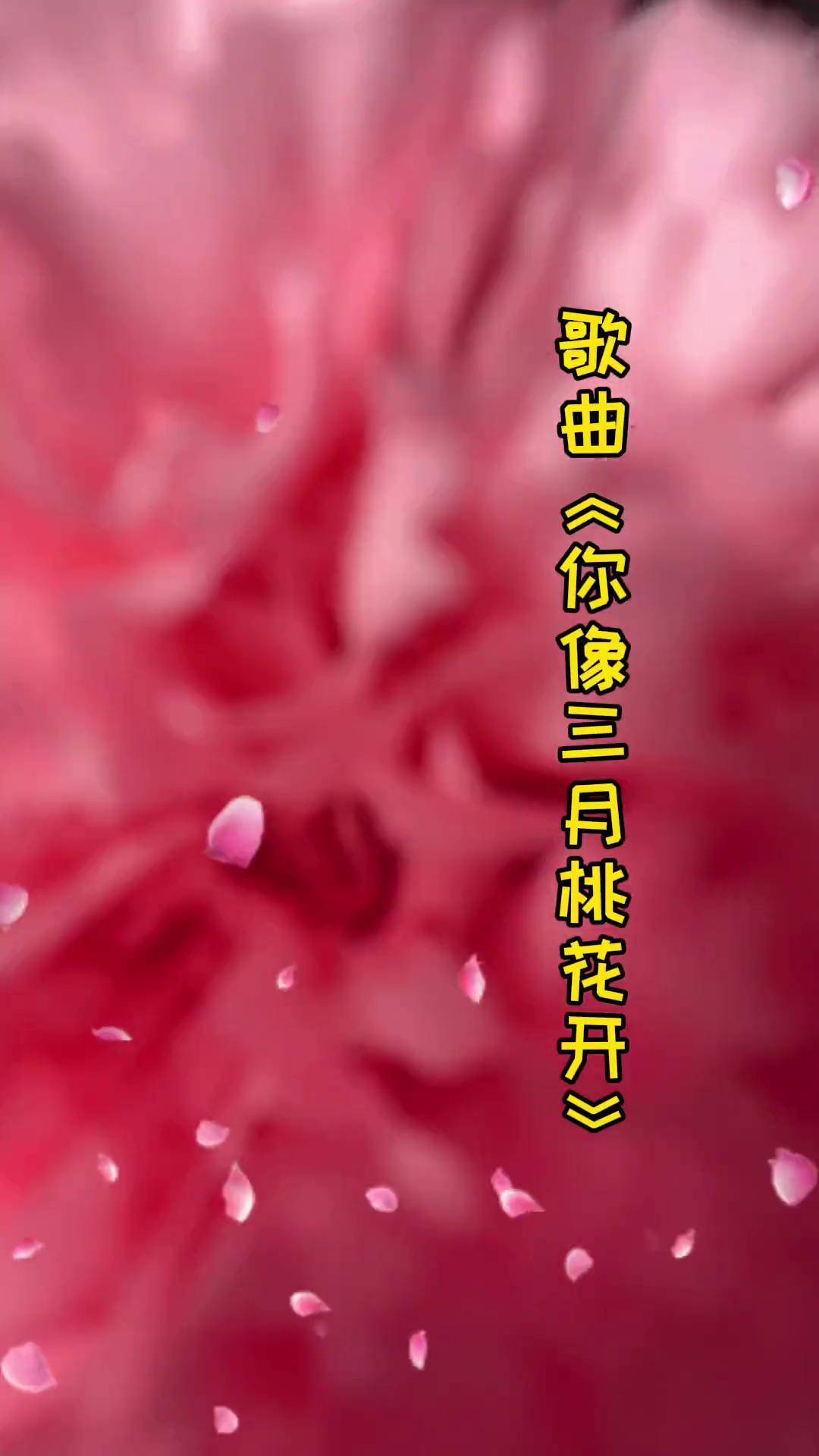 你像三月桃花开原唱图片