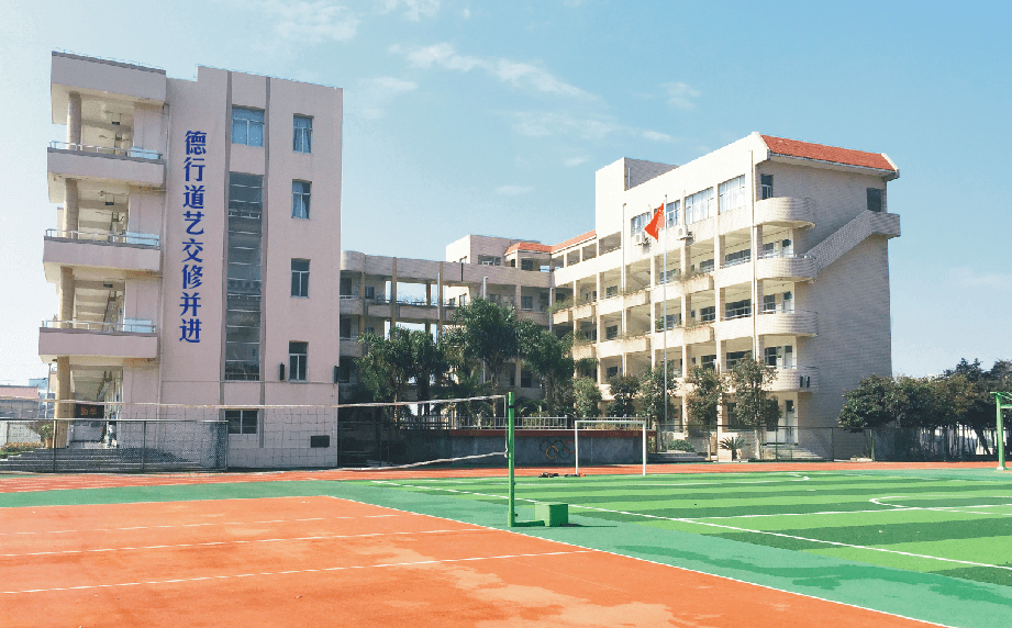 文明典型系列展播 | 乡村少年宫(十一):龙港市白沙小学乡村学校少年宫