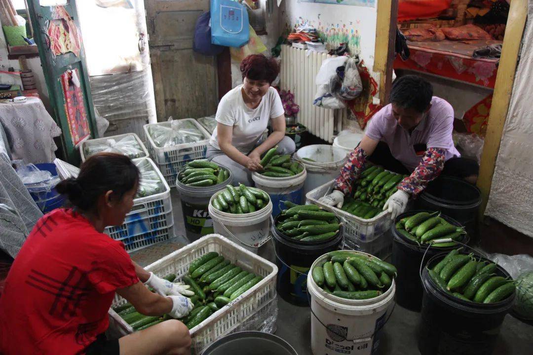 【企业风采】"把移风蔬菜卖到世界各地"_姜波_专业培训_青岛市