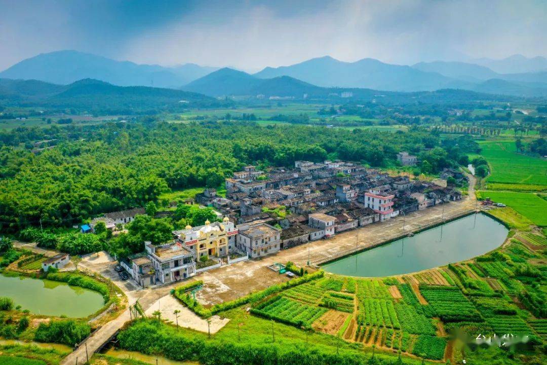 端芬大隆洞石化山公园,金星湖湿地公园,镇海湾红树林国家湿地公园