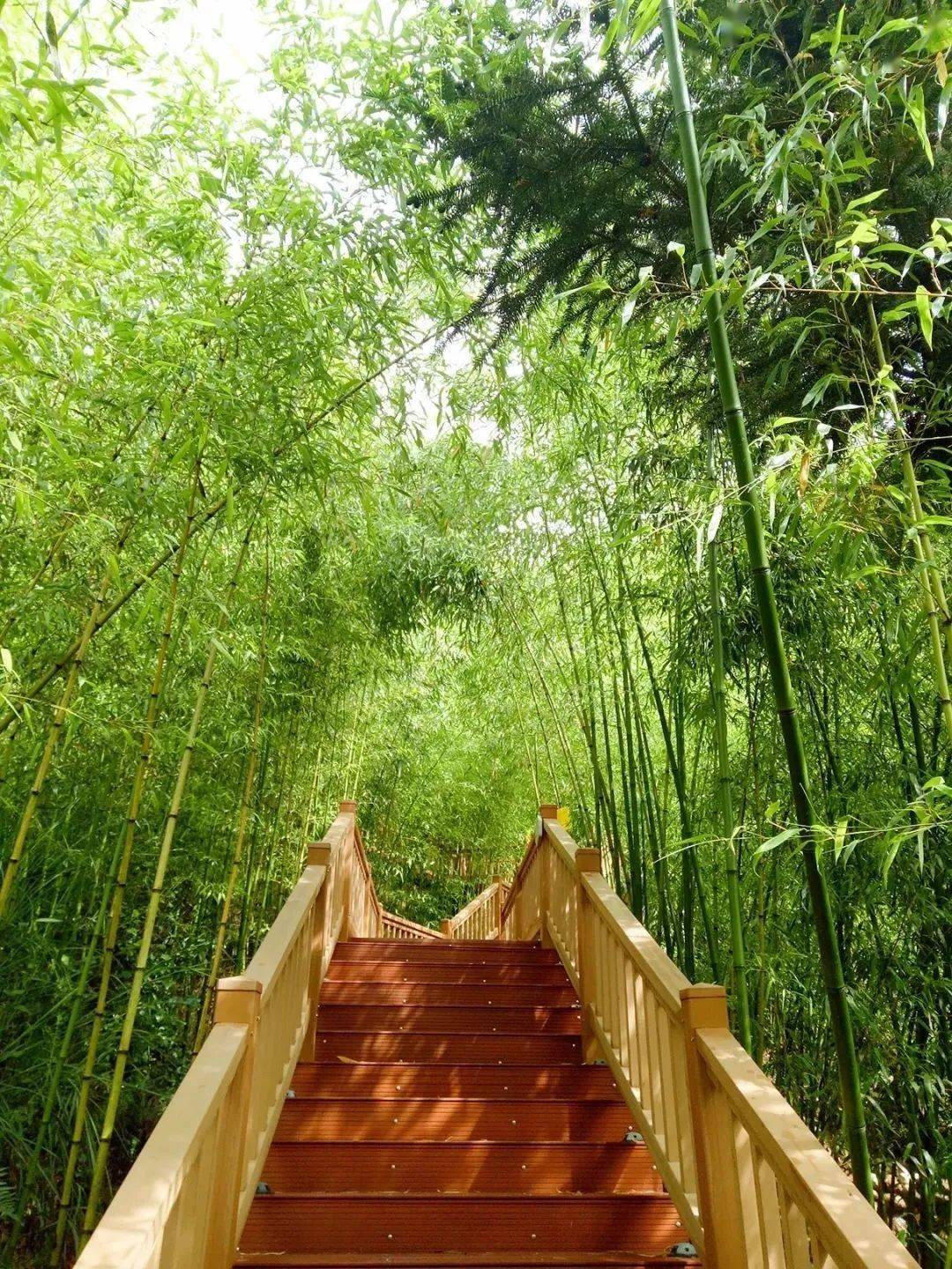 龙韵养生谷游玩攻略上线~_石屏县_种养殖_资源