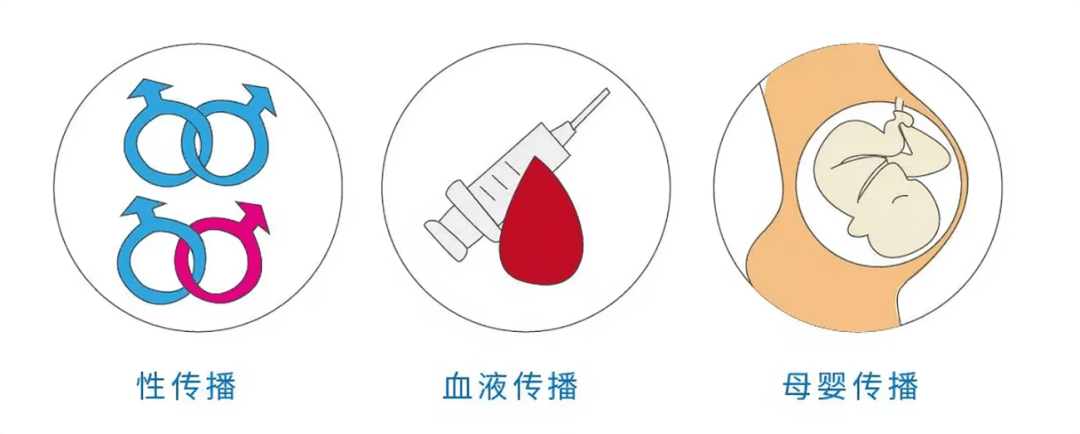 乙肝病毒存活于患者的血液以及体液中,主要通过三种方式进行传播:性