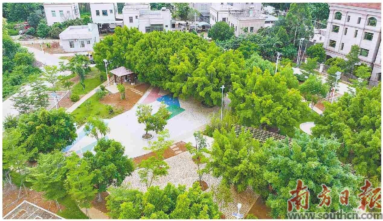 三镇同台 现场“过招”_乡村_示范村_黄村