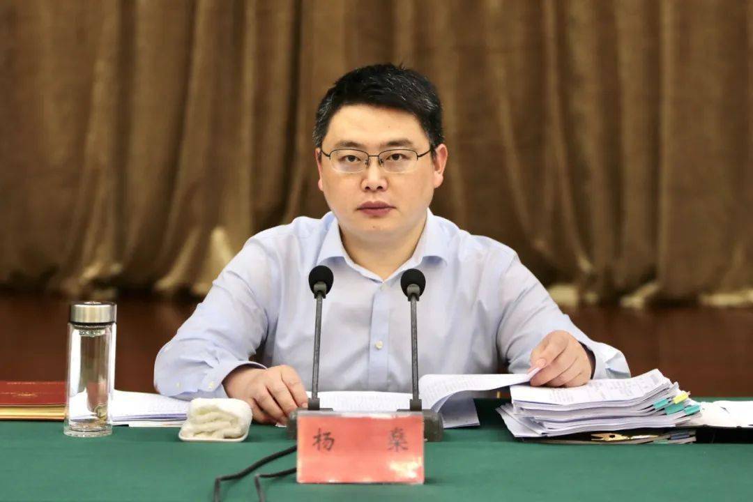 杨燊主持召开区政府第17次常务会议_工作_生产_会议室