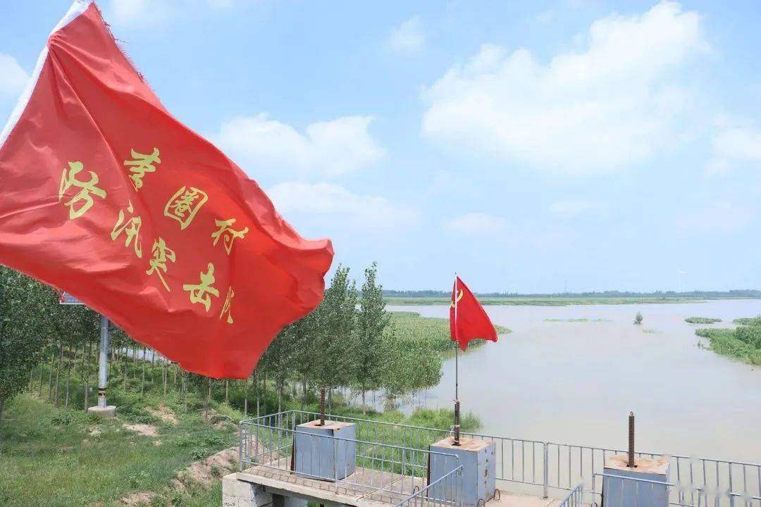 直击临清市漳卫河防汛一线_工作_先锋_水位