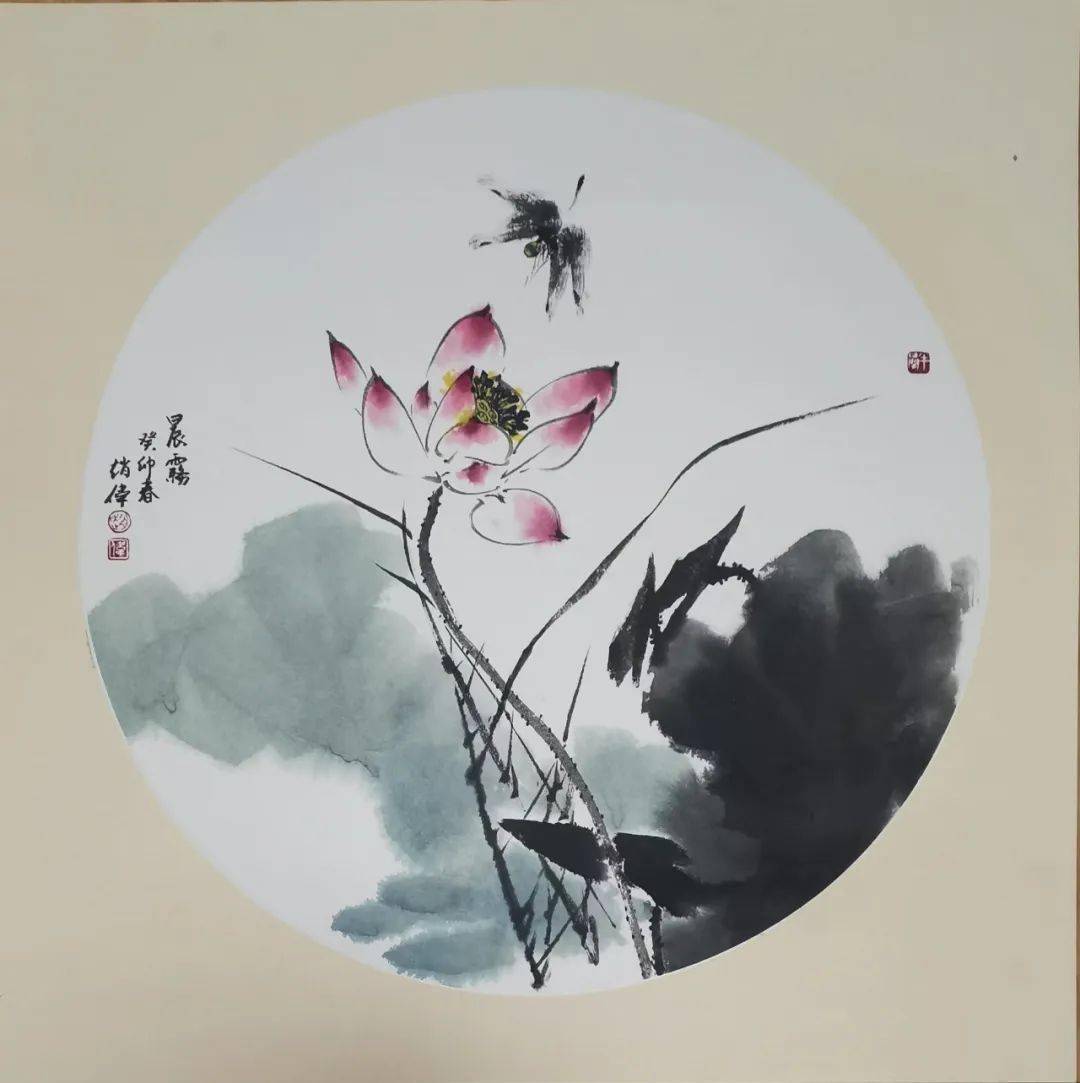 国画圆花鸟图片