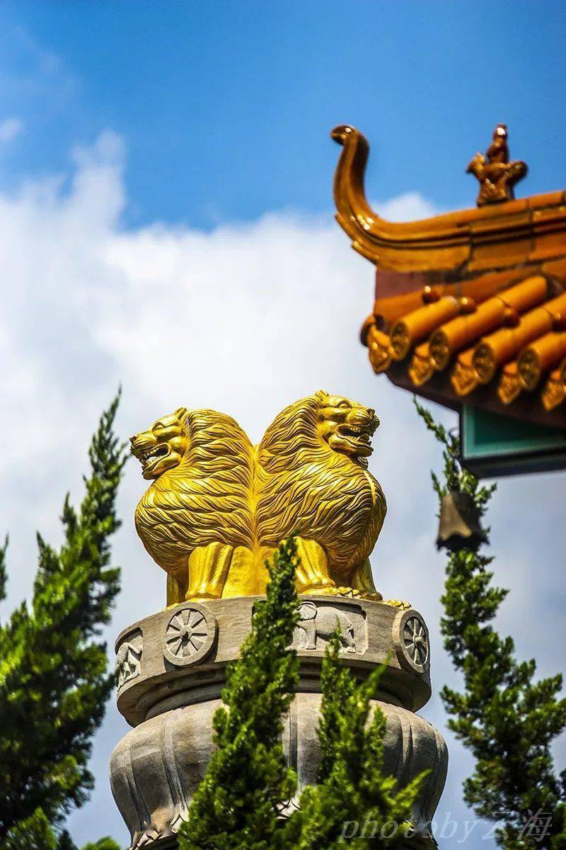 【漫行潍坊】金泉寺,金宝佛教文化园_摩尼_殿堂_公元