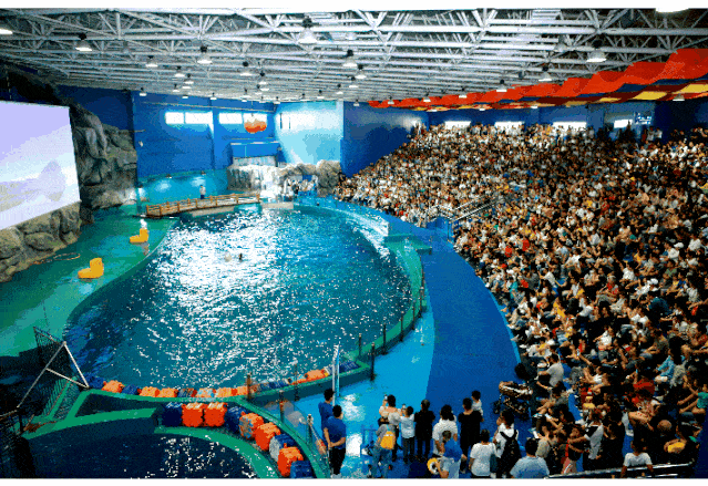 威海神游海洋世界/华夏海洋馆,成人票,随订随用_项目_门票_游客