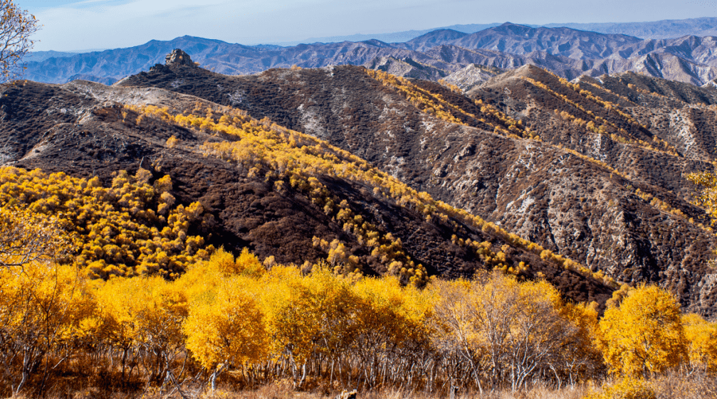 当"多巴胺" 的风吹到了固阳县马鞍山~_杨建清_刘佳乐_张颖强