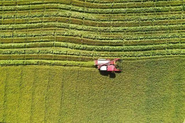 就在明天2点22分_气温_夏天_节气