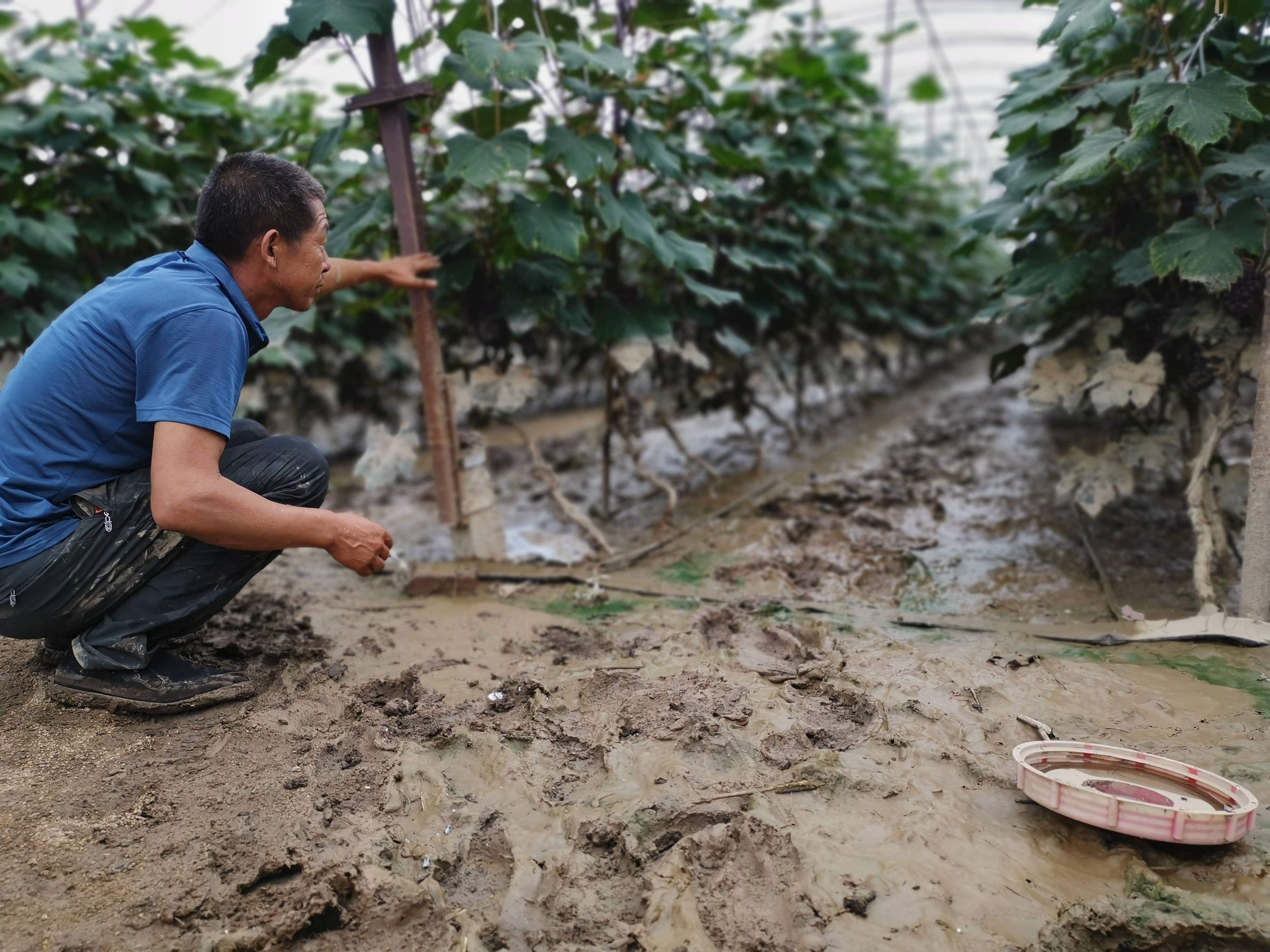 现场|吉林舒兰加紧抢修重建水毁设施,部分受灾村民回家清理