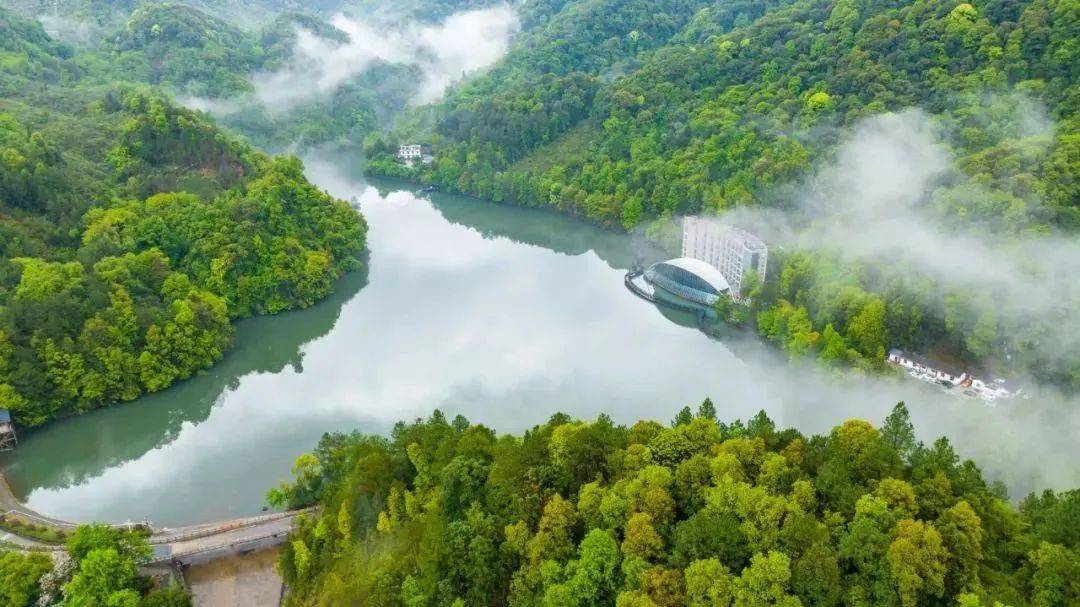 全球学子嘉游赣丨【清凉崇义"爽一夏"】崇义阳明山避暑超全游玩攻略