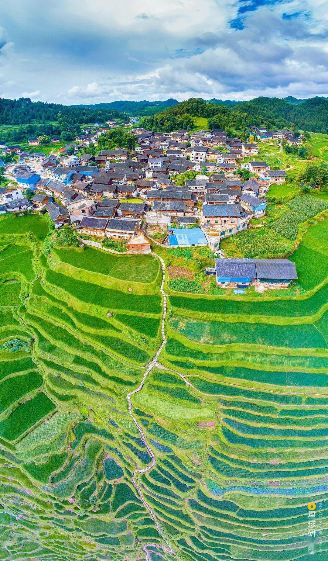 中国梯田,有多美?_山地_南方_面积