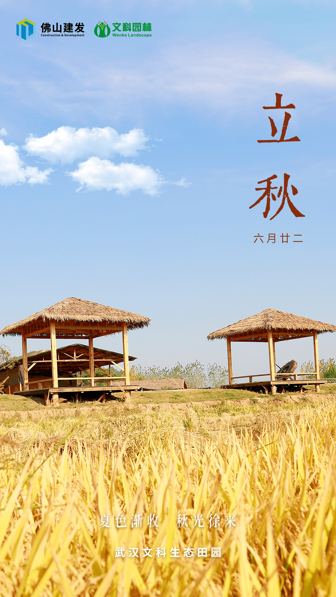 立秋是收获的好时节棉花结铃,大豆结荚水稻结实,高粱渐红等待丰收的