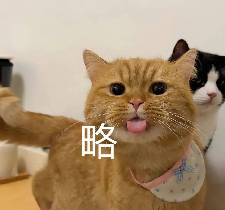 对你微笑,纯属礼貌丨第765期喵表情包_侵权_网络_图片