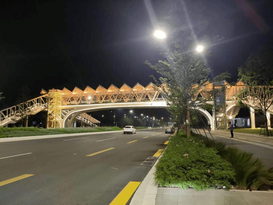 坪山大道,美了!居民出行品质,高了!