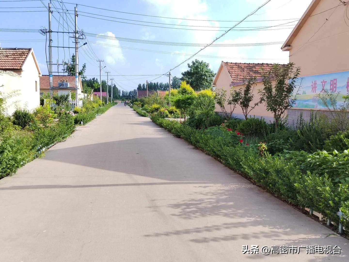 高密市井沟镇持续开展"垃圾不落地 村庄更美丽"专项行动_宣传_实践