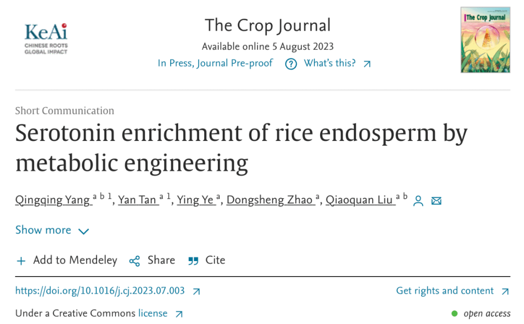 扬州大学利用代谢工程在水稻胚乳中富集5-羟色胺_基因_生物_品质