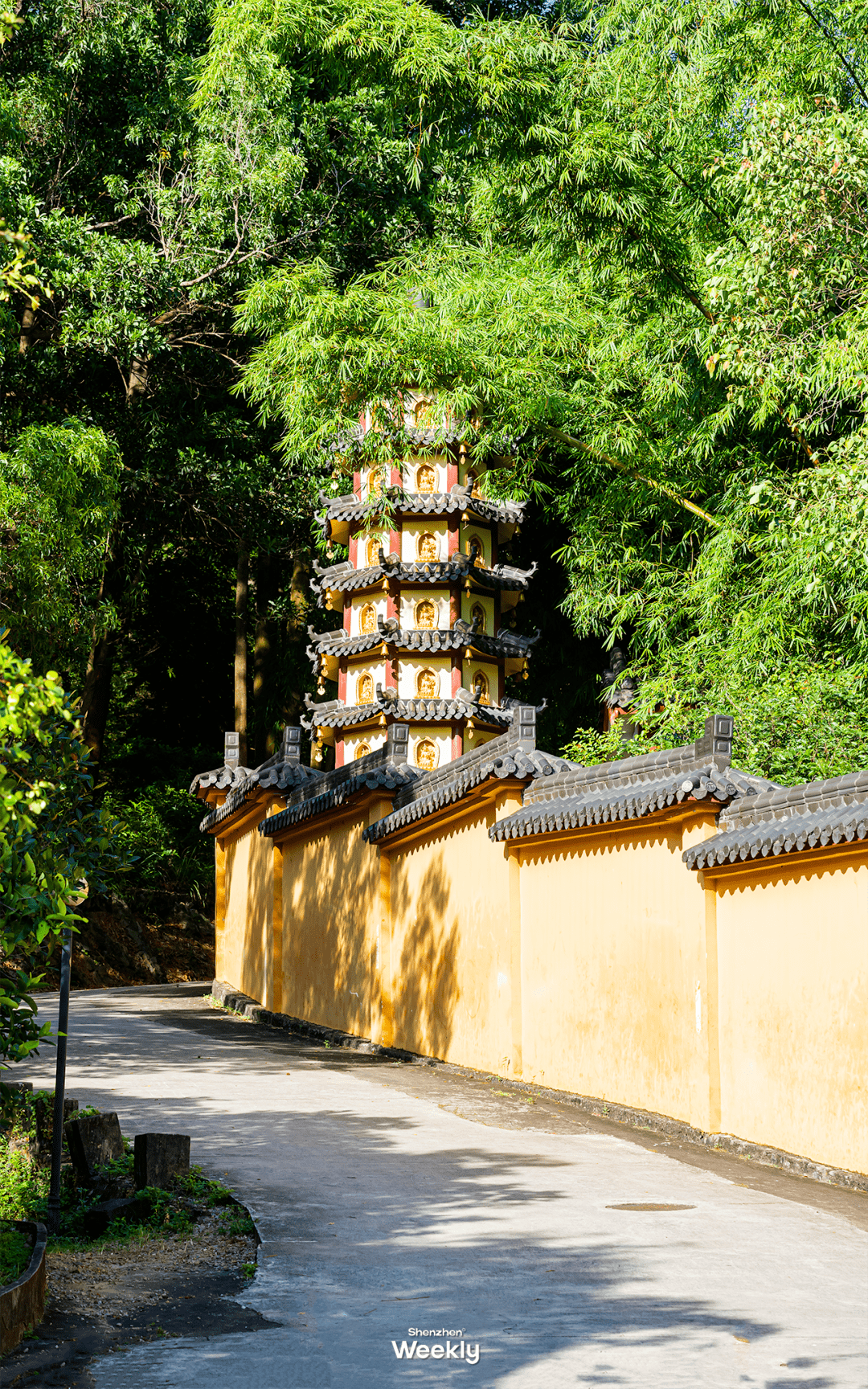 深圳园山风景区妙觉寺图片