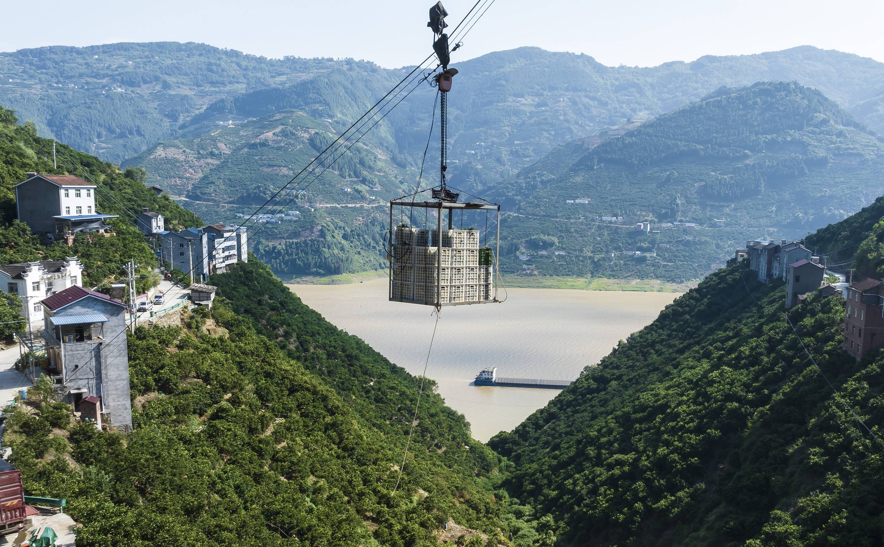8月10日,秭归县泄滩乡坊家山村村民用空中索道转运柑橘(无人机照片).