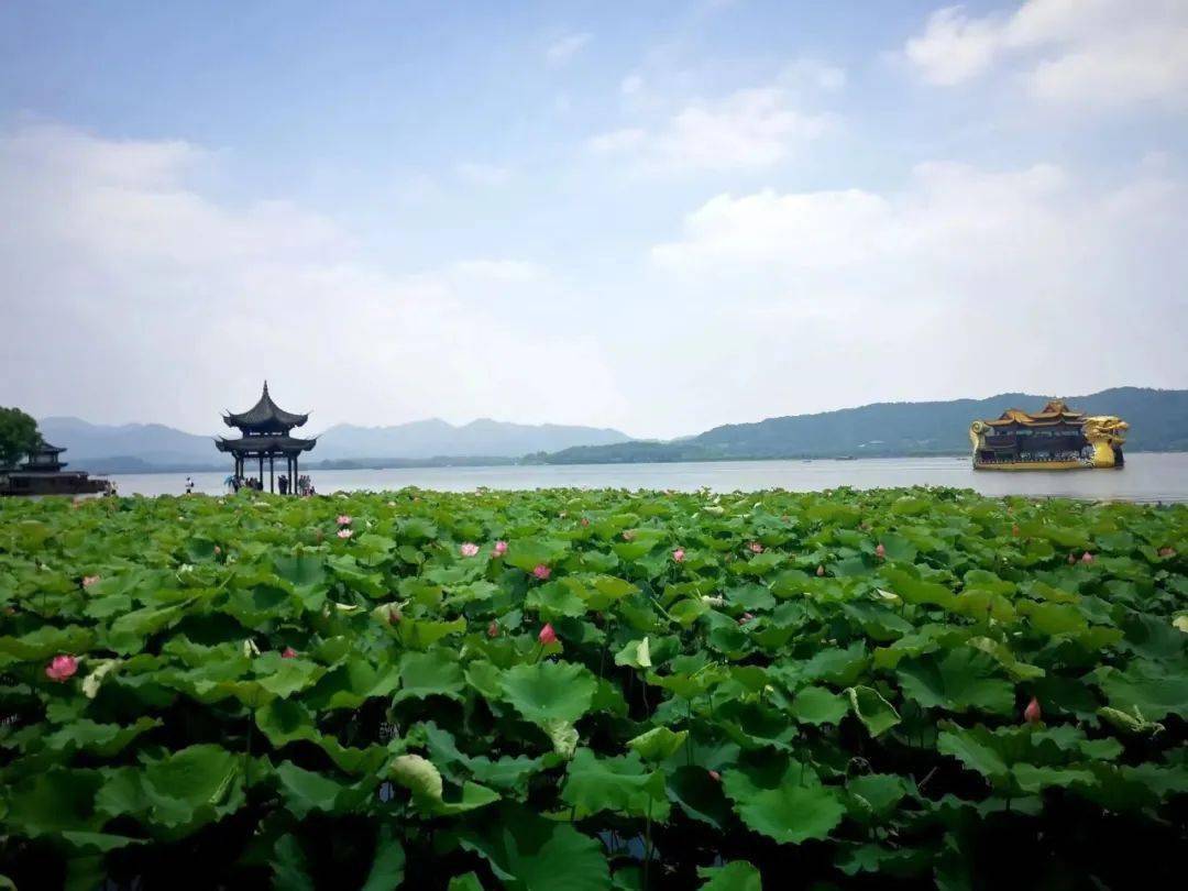 湘湖小小研究员——回味红色经典,传承跨湖桥精神_历史_文化_小队