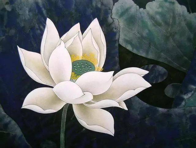 屋檐荐听 |她的名字,叫阿莲_播音_走过_许昌市