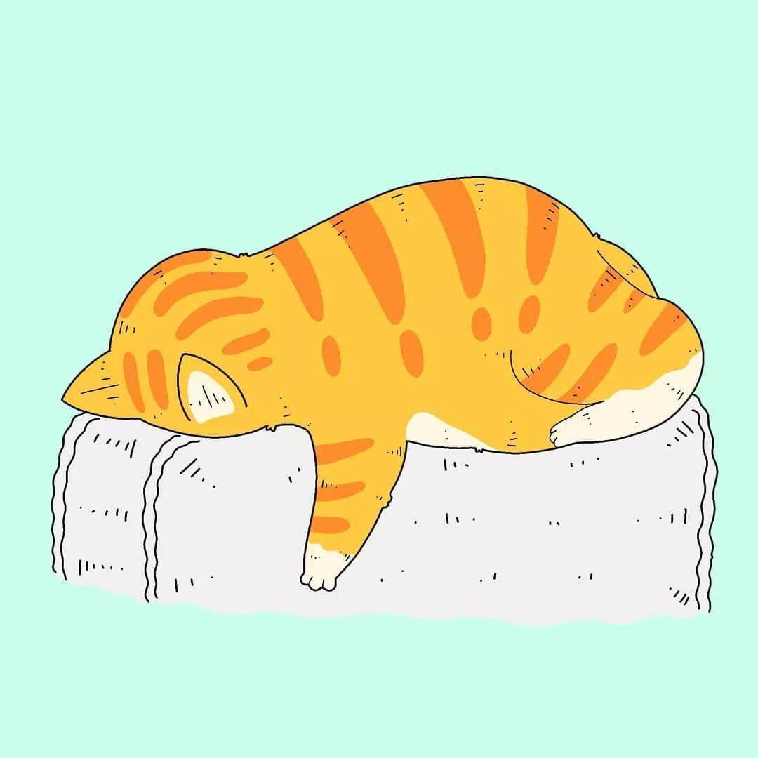 沙雕逗比的猫咪插画,每一张都让你笑到肚子疼!_santoso_rocky_作品