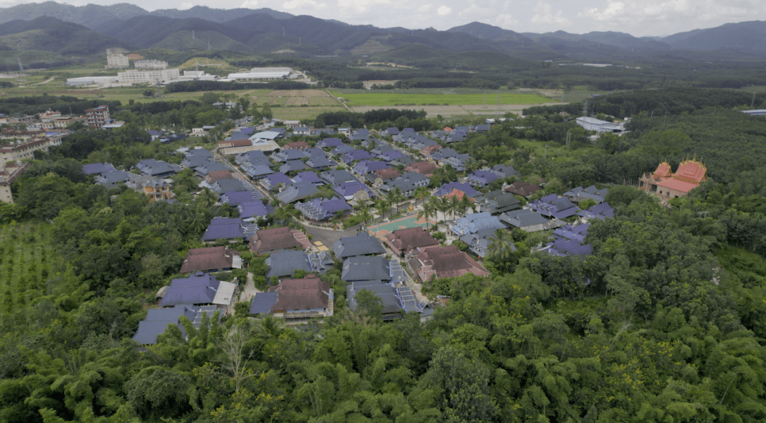 无忧勐腊欢迎您03现代化边境小康村—勐满曼烈村_老挝_村民_勐腊县