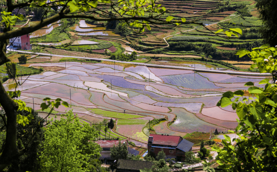 第四批重庆市传统村落名单出炉,走进巴南接龙镇荷花村_老街_凉水_地址