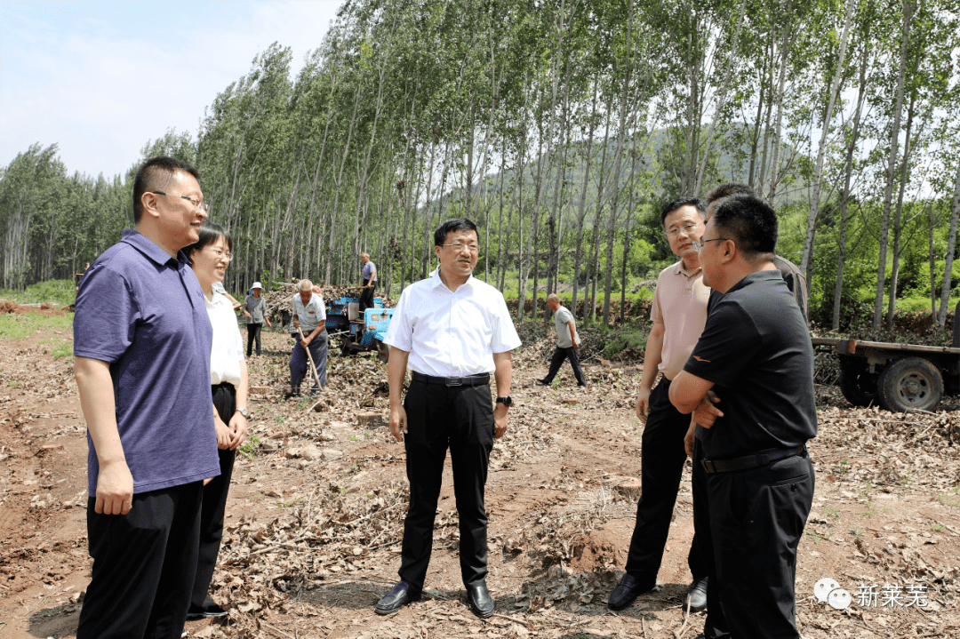 莱芜区长李光辉图片