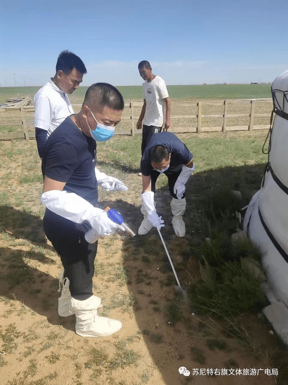 苏尼特右旗文体旅游广电局深入辖区内旅游经营户督导灭鼠灭蚤,食品