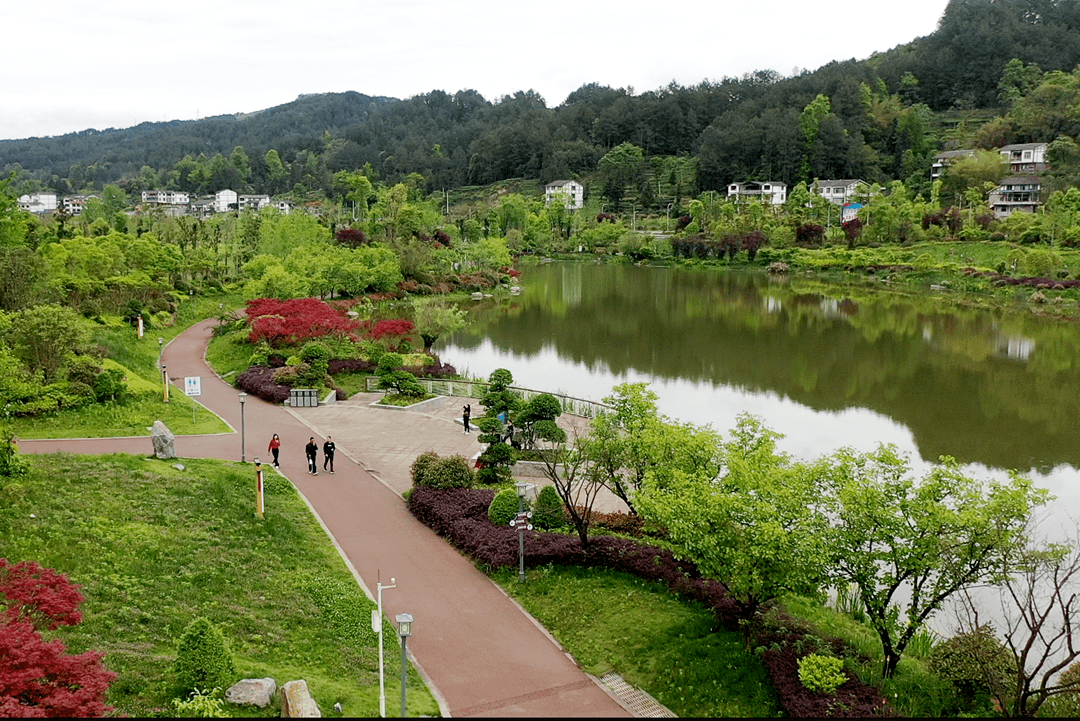 【全国生态日】道真:绿满山川展新颜_广场_康养_森林
