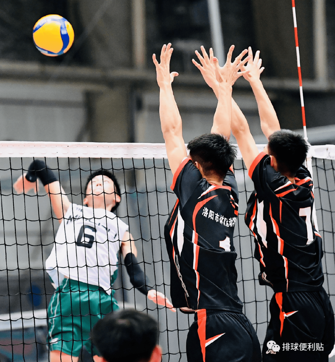 16岁以下组男排预赛分别在沈阳体育学院排球馆和台山新宁体育馆举行