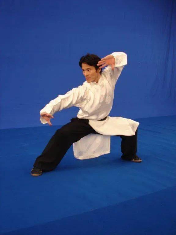 【直播】龙行蜀山—张成忠功夫辅导讲座_进行_太极拳_系列