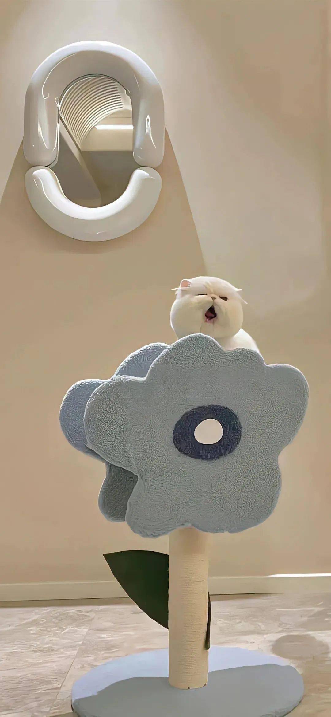 壁纸 | 美好简单的壁纸美图