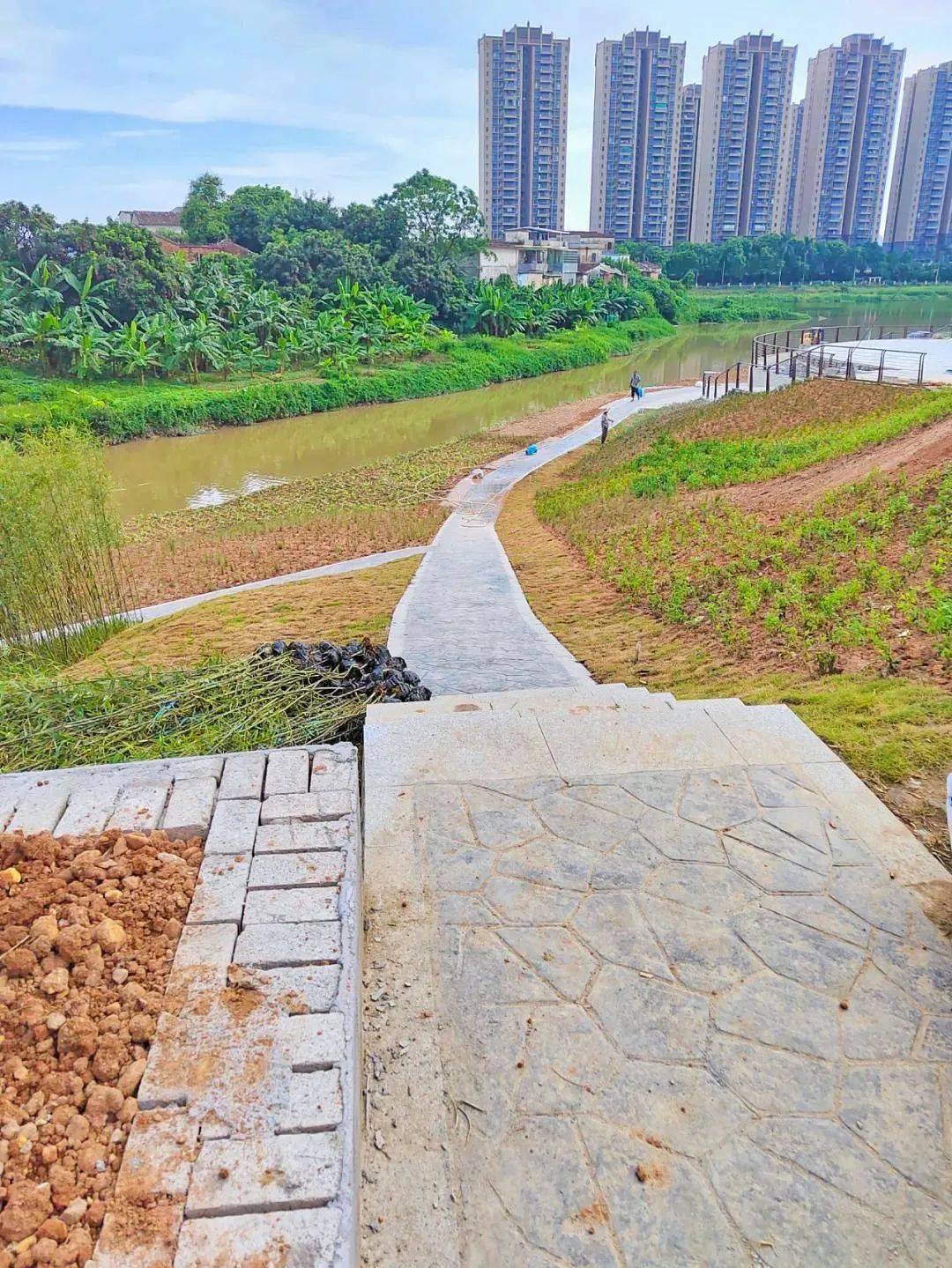 九潭要新建一个公园,附近的街坊有福啦!_园洲镇_建设_幸福感