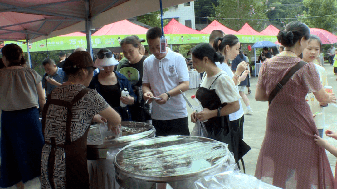 建瓯文化馆|首届杨荣与万木林生态文化旅游节——解锁自然与文化的